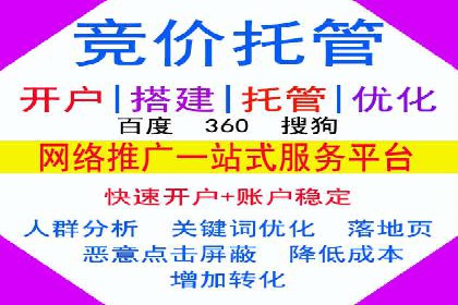 实战经验：SEM网络推广打造行业领军品牌